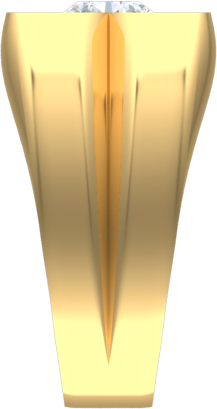 gents ring side view
