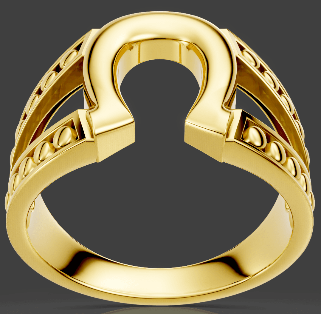 Horseshoe Signet Ring